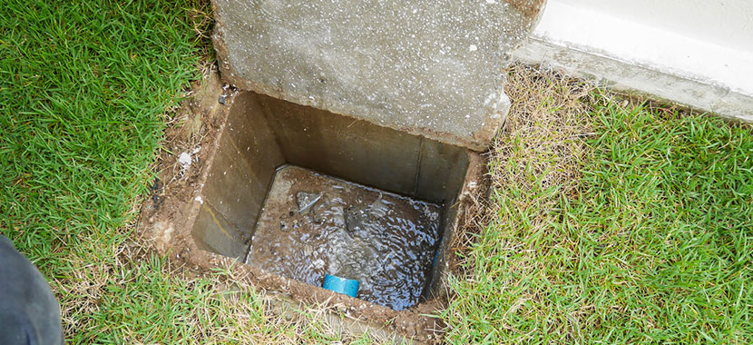 caixa de gordura